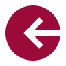 Back Icon